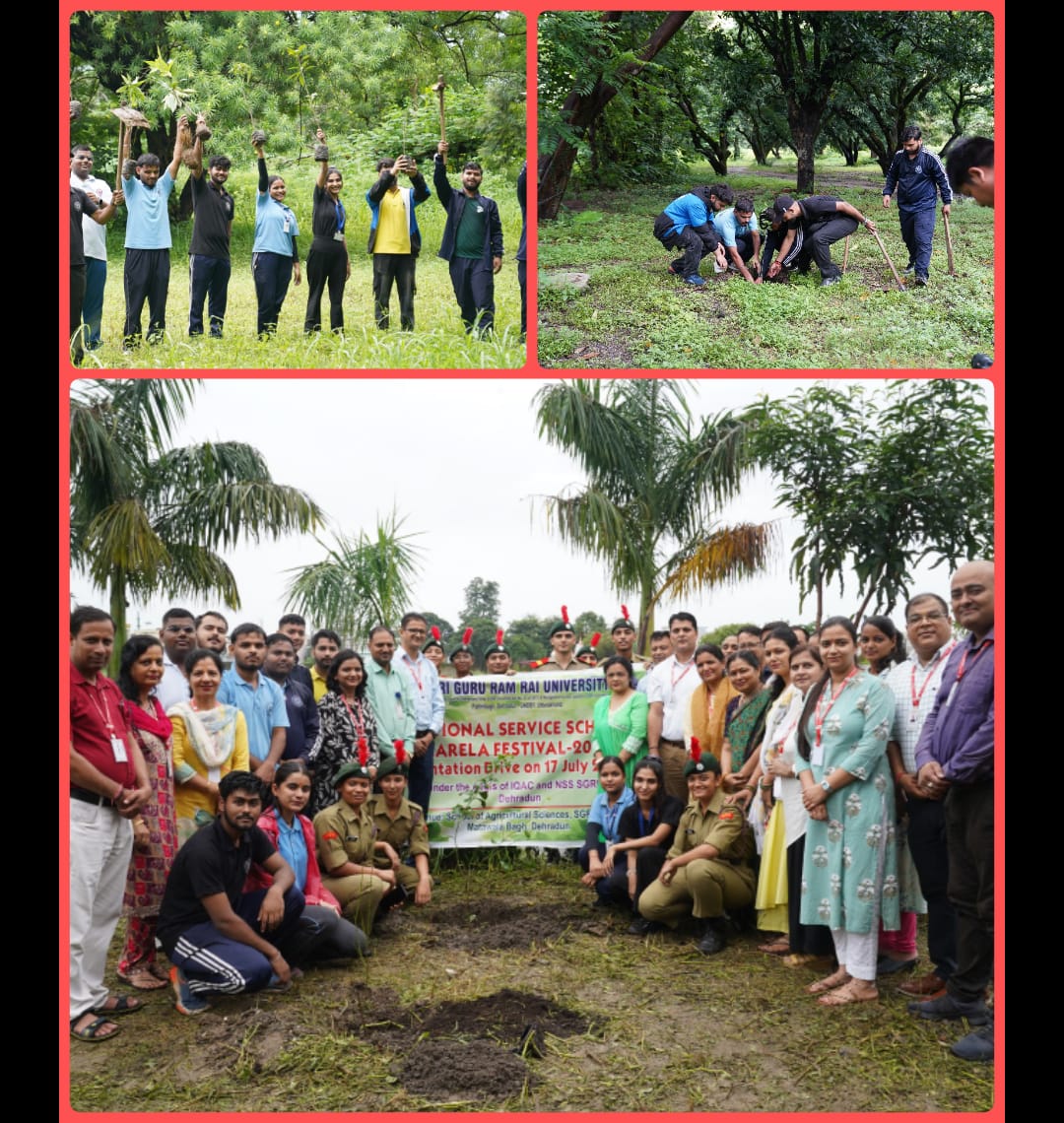 सन्देश: SGRRU का हरित संदेश: हरेला पर्व पर छात्रों और शिक्षकों ने मिलकर लगाए पौधे