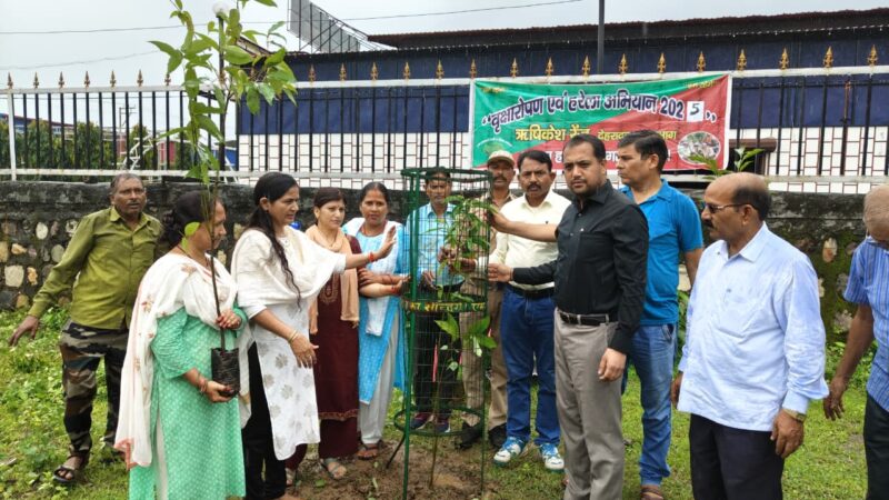 ग्रामीणों ने श्रमदान से दी मिसाल, खांड गांव समिति ने हरेला पर्व को बनाया यादगार