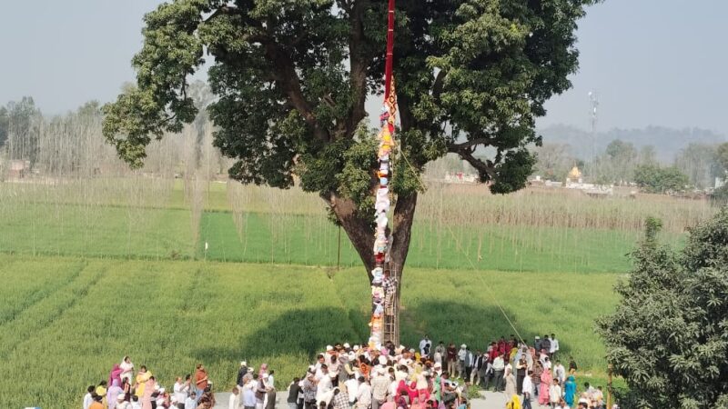 अध्यात्म और उत्सव के संगम के लिए सज रहा दरबार, विद्युत सज्जा और पुष्पवर्षा से होंगे मेले के रंग