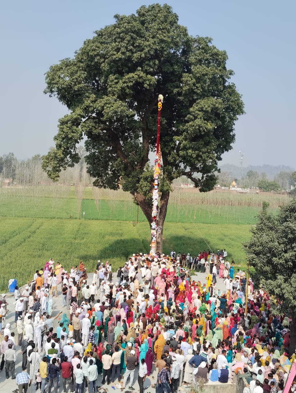 अध्यात्म और उत्सव के संगम के लिए सज रहा दरबार, विद्युत सज्जा और पुष्पवर्षा से होंगे मेले के रंग