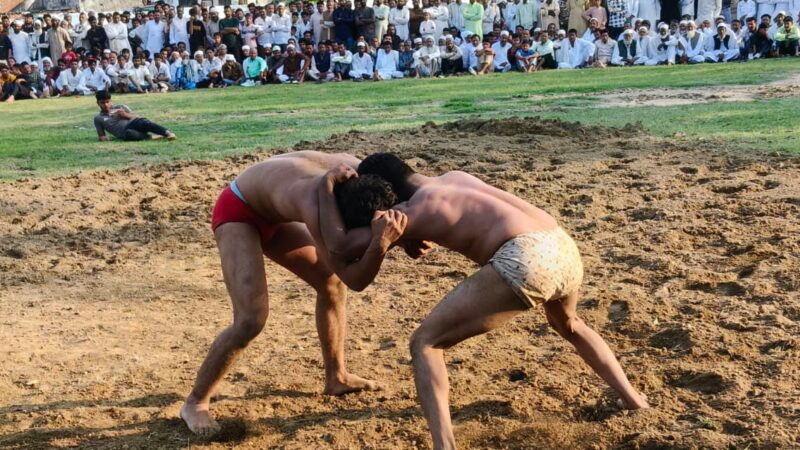 पहलवानों ने दर्शकों को दिखाया जोश और कुश्ती कौशल