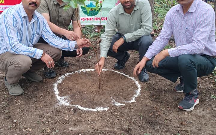 नरेन्द्रनगर वन प्रभाग की मुहिम रंग लाई, गंगा तट से हटा कचरा, लगे सैकड़ों पौधे